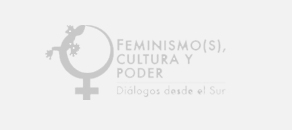 Red Feminismo(s), cultura y poder. Diálogos desde el sur